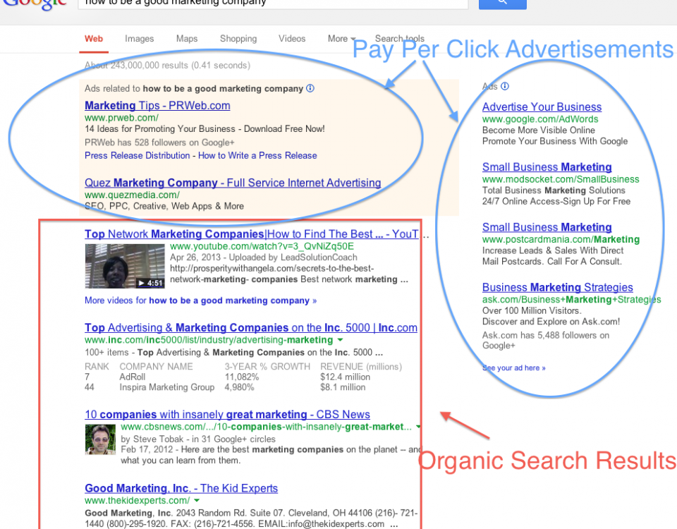 Organic Search