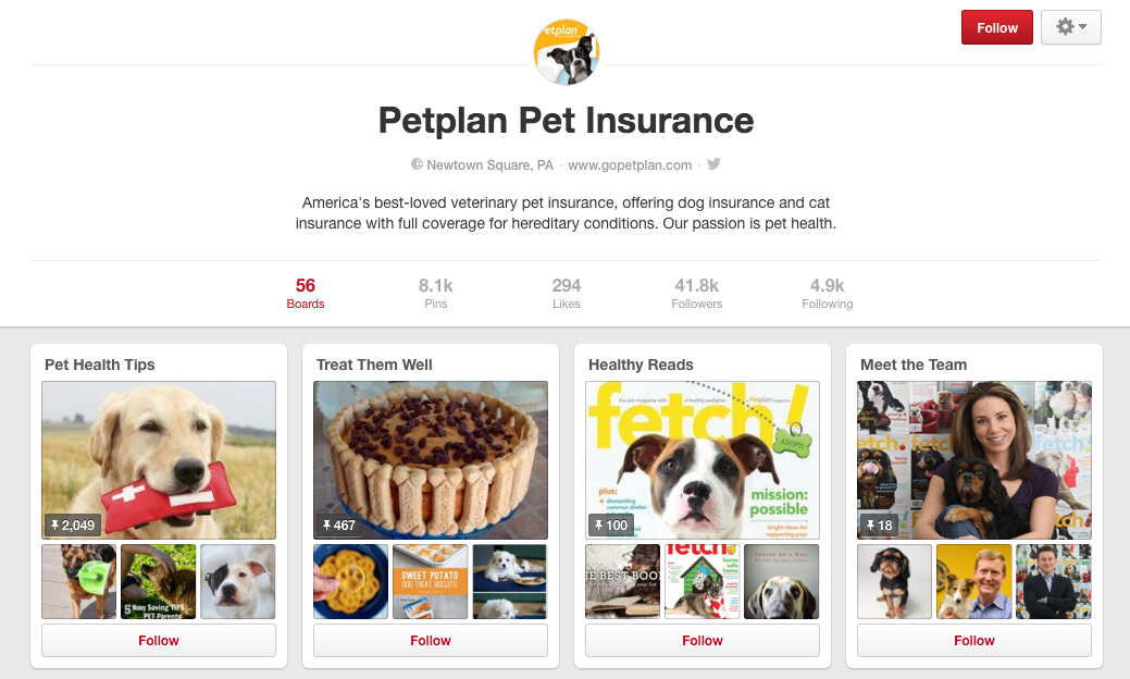 Petplan Pet Insurance Pinterest
