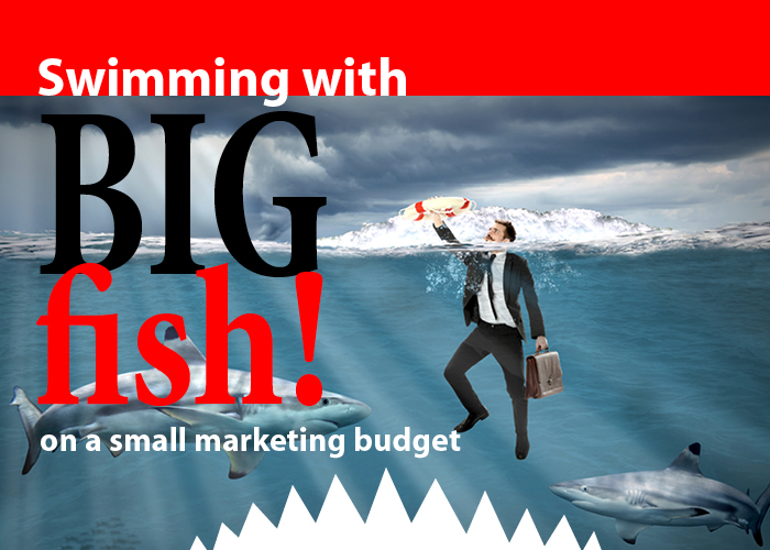 Small Marketing Budget Image