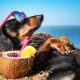 Summer Marketing