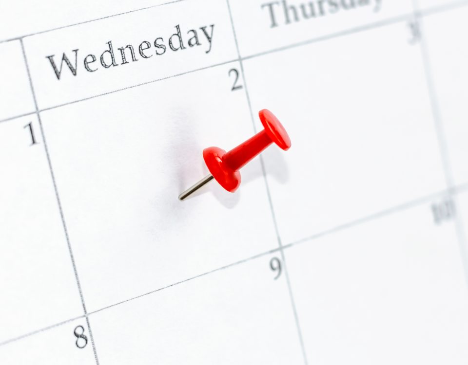 Calendar Pin