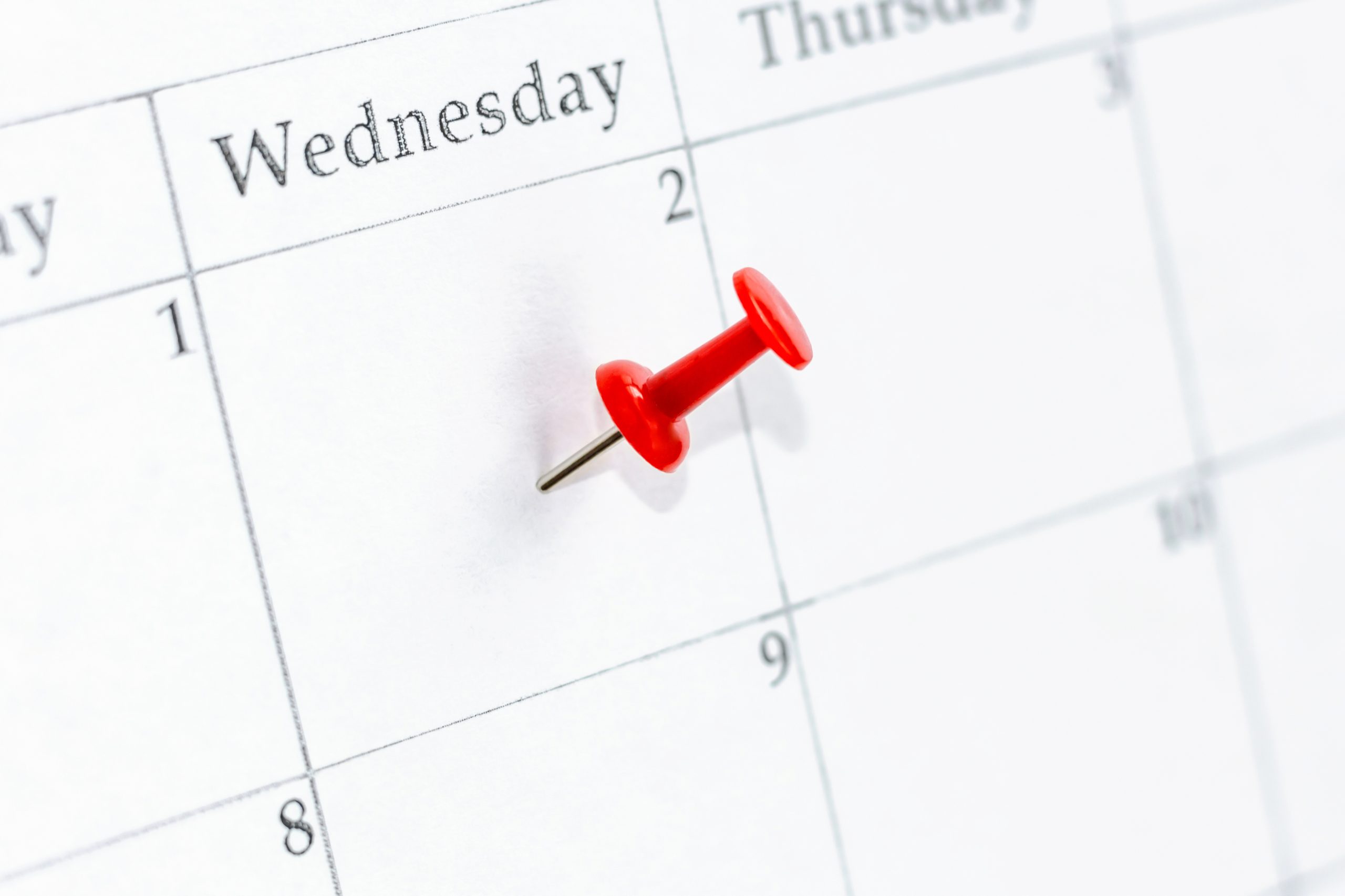 Calendar Pin